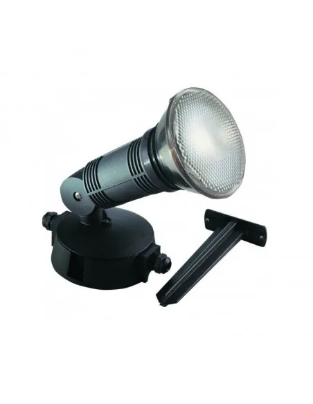 Projecteur extérieur Dafnee PAR38 — IP65/IK08 — E27 — noir — image 1