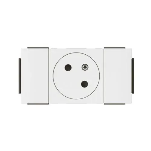 Prise 2P+T surface goulotte — 1 rangée × 2 modules — blanc