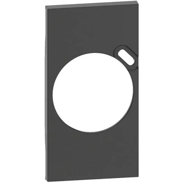 Plastron de finition Living Now pour prise Surface avec USB Type-C — noir mat — image 1