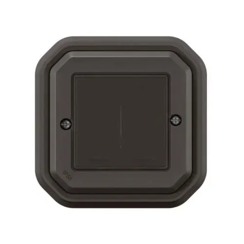 Commande double sans fil sans pile Plexo with Netatmo IP55 en saillie - anthracite