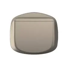 Enjoliveur interrupteur à badge — finition titane — image 1