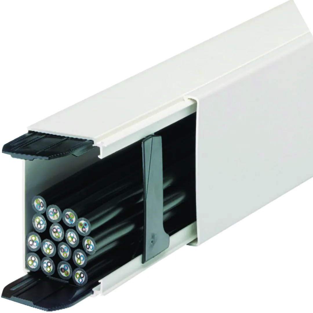 Goulotte de distribution cloisonnable Liféa — 60×90 mm — IP40/IK07 — blanc RAL 9016 — 2 m — image 1